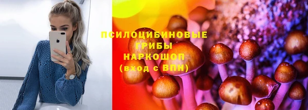 твердый Алексин