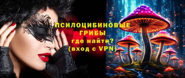 твердый Алексин