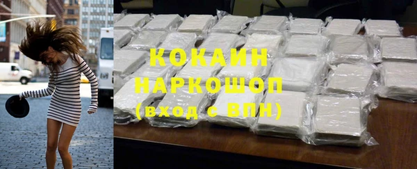 твердый Алексин