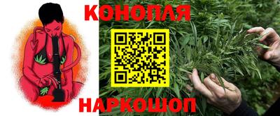 PSILOCYBIN Малоярославец